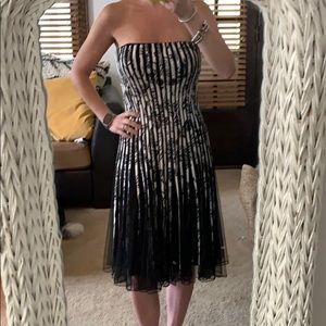 NWT: Papillon- black and white dress